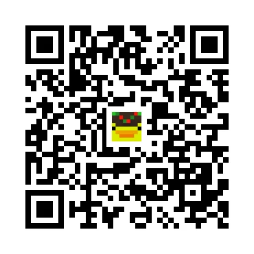 skins.qr_code_alt