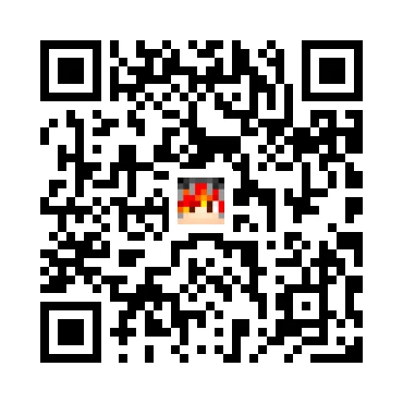 skins.qr_code_alt