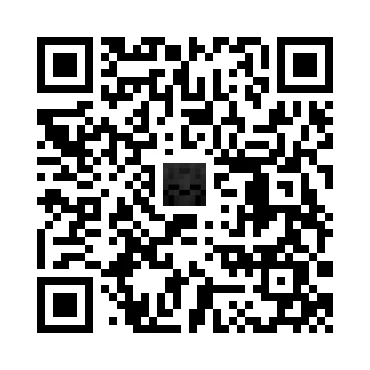 skins.qr_code_alt