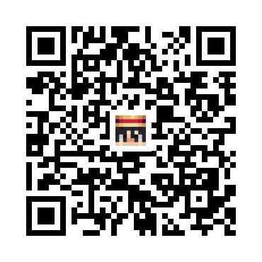 skins.qr_code_alt