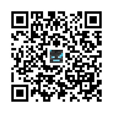 skins.qr_code_alt