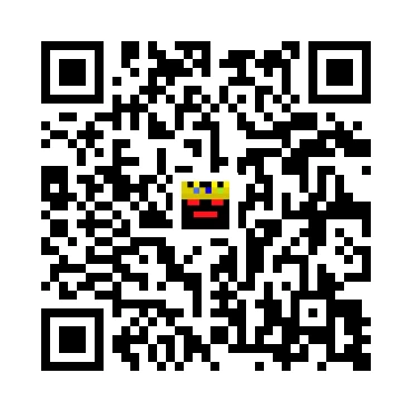 skins.qr_code_alt
