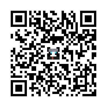 skins.qr_code_alt