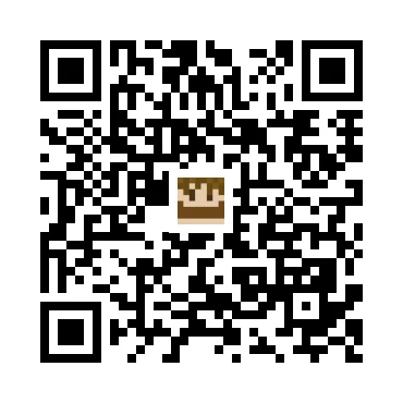 skins.qr_code_alt