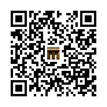 skins.qr_code_alt