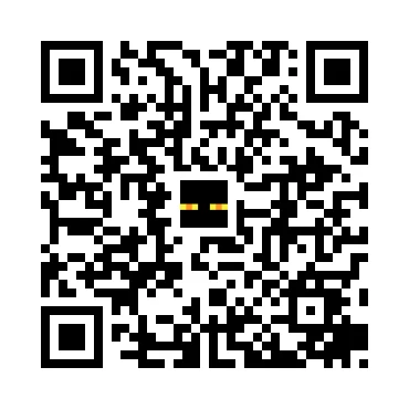 skins.qr_code_alt