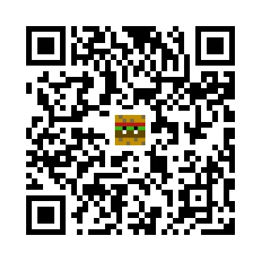 skins.qr_code_alt