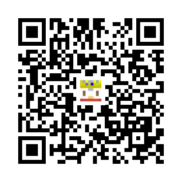 skins.qr_code_alt