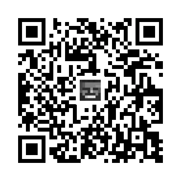 skins.qr_code_alt
