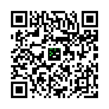 skins.qr_code_alt
