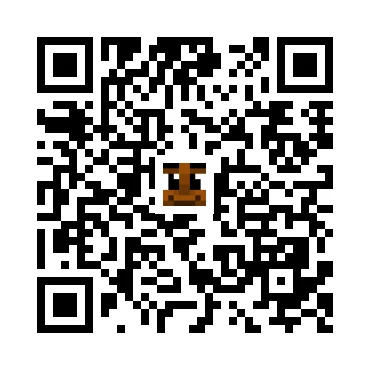 skins.qr_code_alt