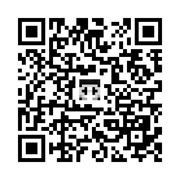 skins.qr_code_alt