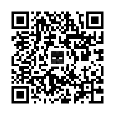 skins.qr_code_alt