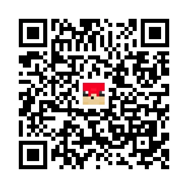 skins.qr_code_alt