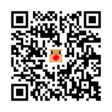 skins.qr_code_alt