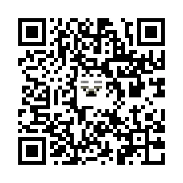skins.qr_code_alt