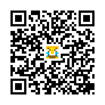 skins.qr_code_alt