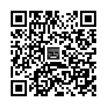 skins.qr_code_alt