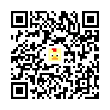 skins.qr_code_alt