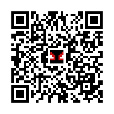 skins.qr_code_alt
