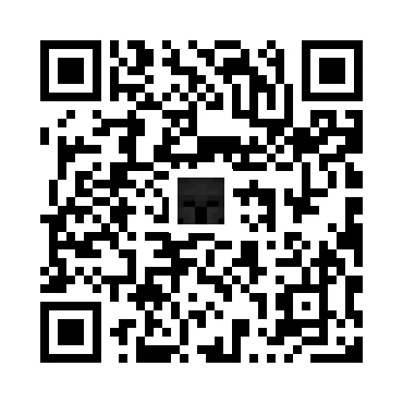 skins.qr_code_alt