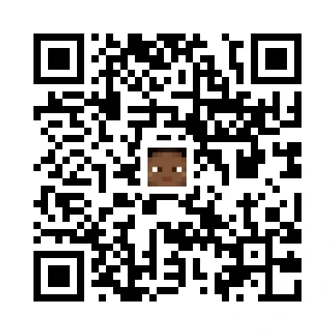 skins.qr_code_alt