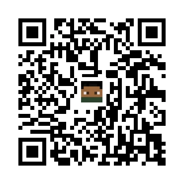 skins.qr_code_alt