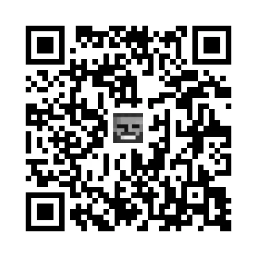 skins.qr_code_alt