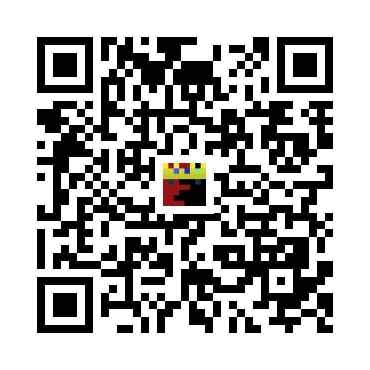 skins.qr_code_alt