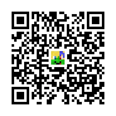 skins.qr_code_alt