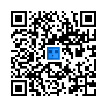 skins.qr_code_alt