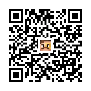 skins.qr_code_alt