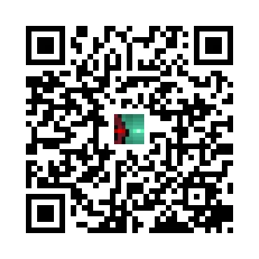 skins.qr_code_alt