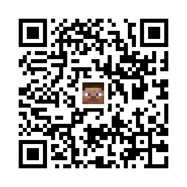 skins.qr_code_alt