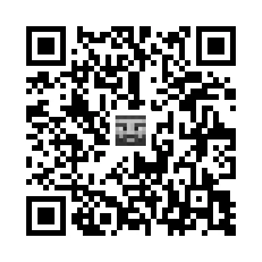 skins.qr_code_alt