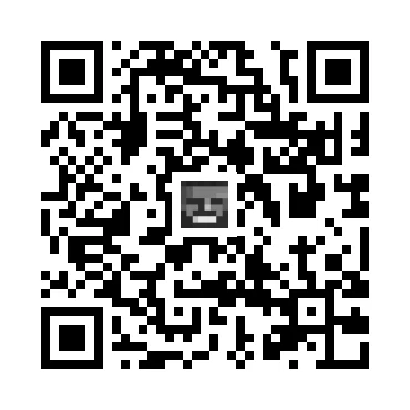 skins.qr_code_alt