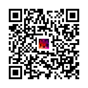 skins.qr_code_alt