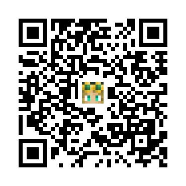 skins.qr_code_alt
