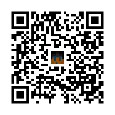skins.qr_code_alt