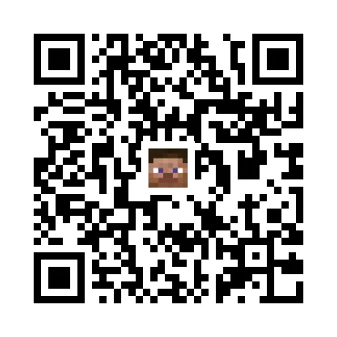 skins.qr_code_alt