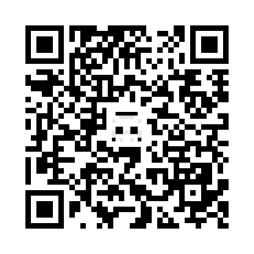 skins.qr_code_alt