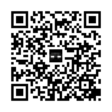 skins.qr_code_alt