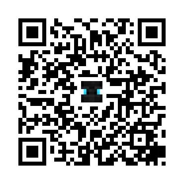 skins.qr_code_alt