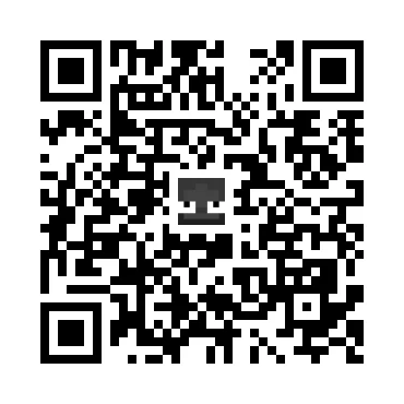 skins.qr_code_alt