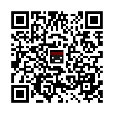skins.qr_code_alt