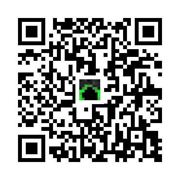 skins.qr_code_alt