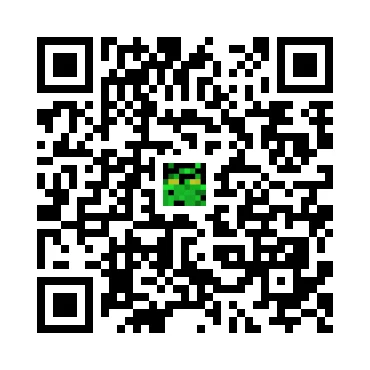 skins.qr_code_alt