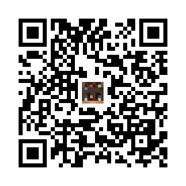 skins.qr_code_alt