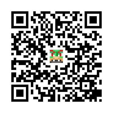 skins.qr_code_alt