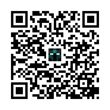 skins.qr_code_alt